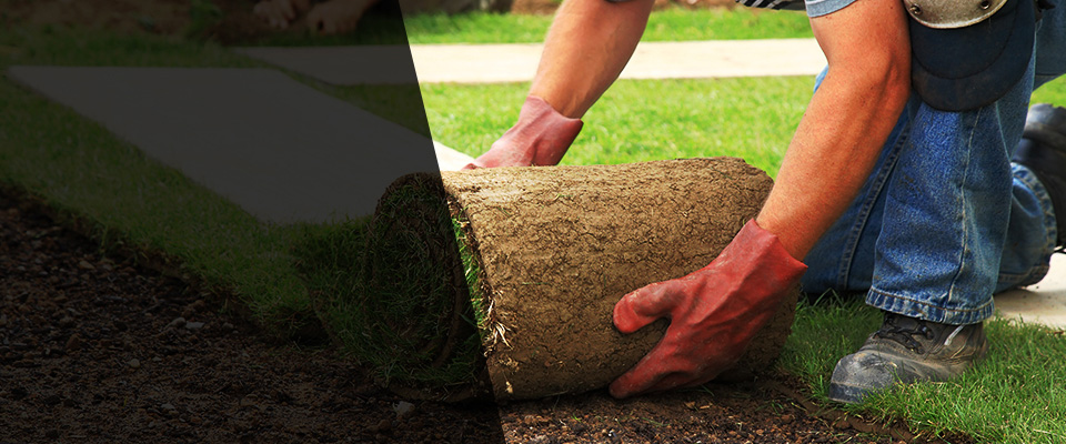 Huntingdon Valley Landscapers